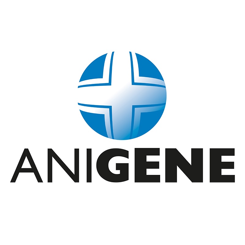 Anigene Disinfectant