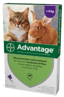 Advantage for cats uk discount
