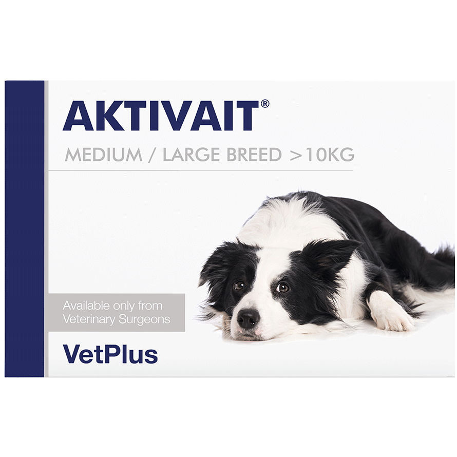 Aktivait hot sale small dog