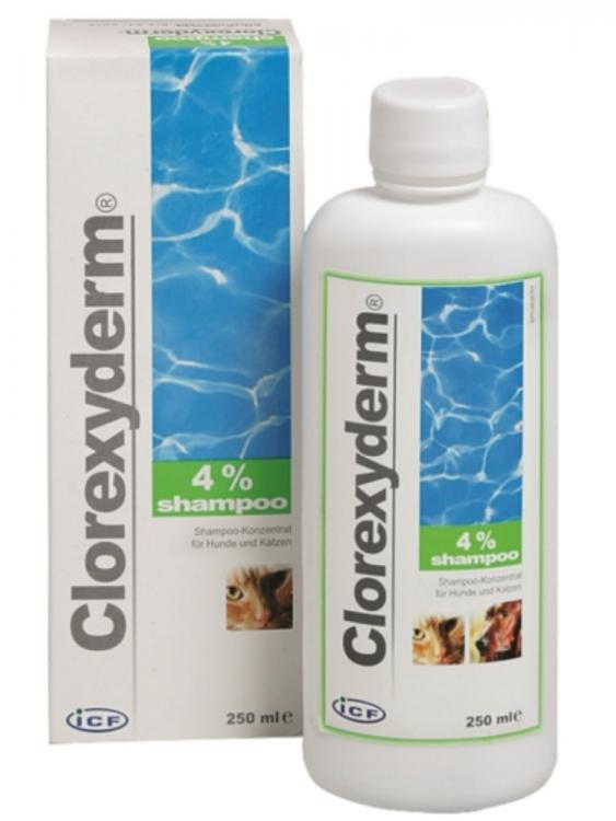 Chlorhexiderm shampoo deals for dogs
