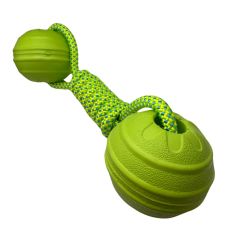 Aqua Dog 2 Ball Tug Dog Toy