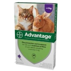 Advantage Spot On Large Rabbits & Cats 4kg+ 4's