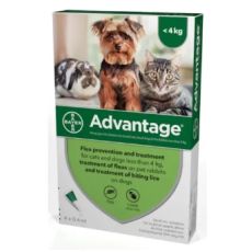 Advantage Spot On Rabbits, Cats & Small Dogs (under 4kg) 4's