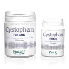 Protexin Cystophan Capsules for Cats