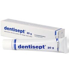 Dentisept Adhesive Dental Paste for Dogs & Cats 20g
