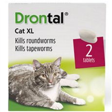 Drontal Cat XL Tablets 2s