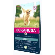 Eukanuba Adult Large Breed Dog Food - Lamb & Rice