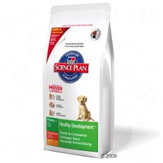 Hills junior store large breed