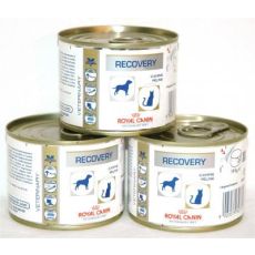Royal Canin Feline/Canine Recovery Tins 12x195g