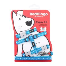 Red Dingo Puppy Kit - Turquoise with White Stars