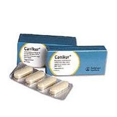 Canikur Tablets for Dogs 4.4gm 12's