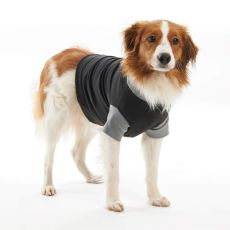 Buster Classic Body Suit for Dogs - Black/Grey