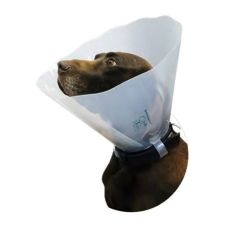 Greencol E-Collar - Transparent