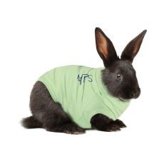 Medical Pet Shirt For Rabbits
