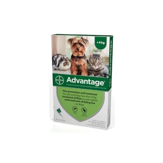 Advantage Spot On for Rabbits Cats Small Dogs Under 4kg 4 s