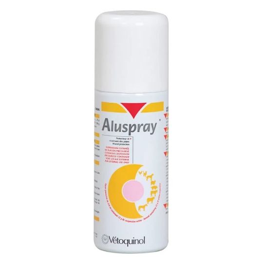 Aluspray 210ml (Aluminium Spray)