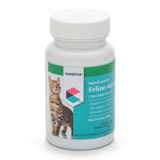 Cat on sale supplements uk