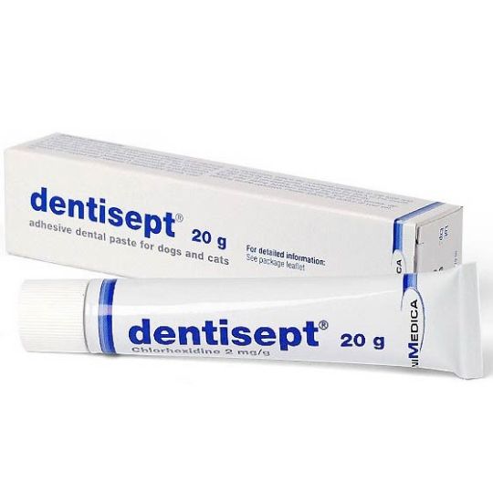 Chlorhexidine shop dog toothpaste