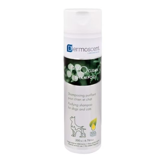 Shampoo for cats online with scabs