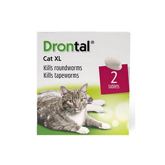 Best over the counter tapeworm medicine for on sale cats
