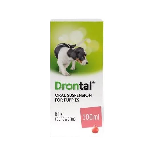 Drontal small dog wormer store