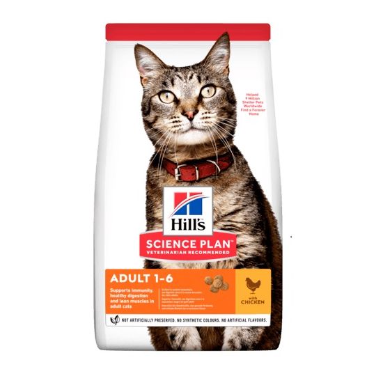 Veterinarian recommended cheap cat food