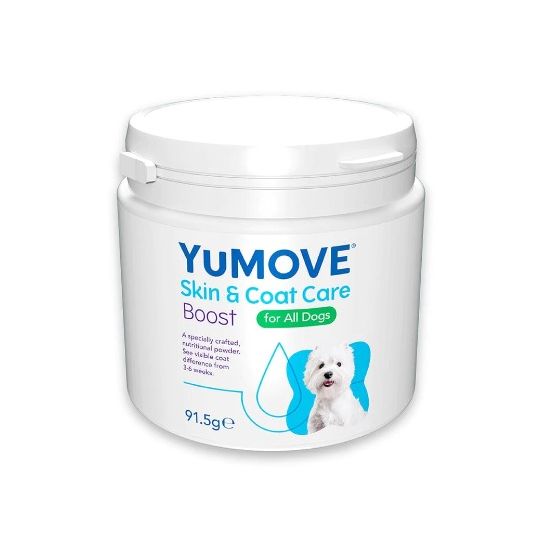 Dog skin and coat care 2025