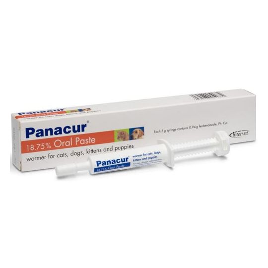 Panacur suspension for store puppies