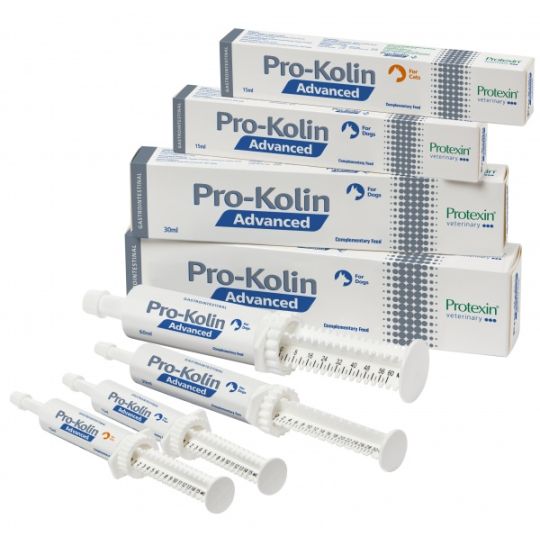 Gastro pro 2025 paste for dogs