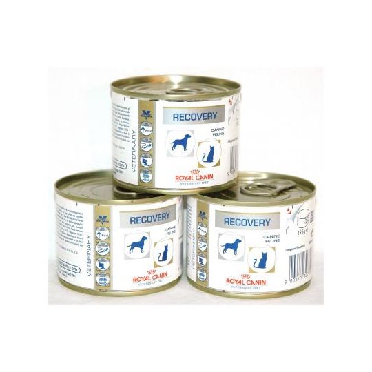 Royal Canin Feline/Canine Recovery Tins 12x195g