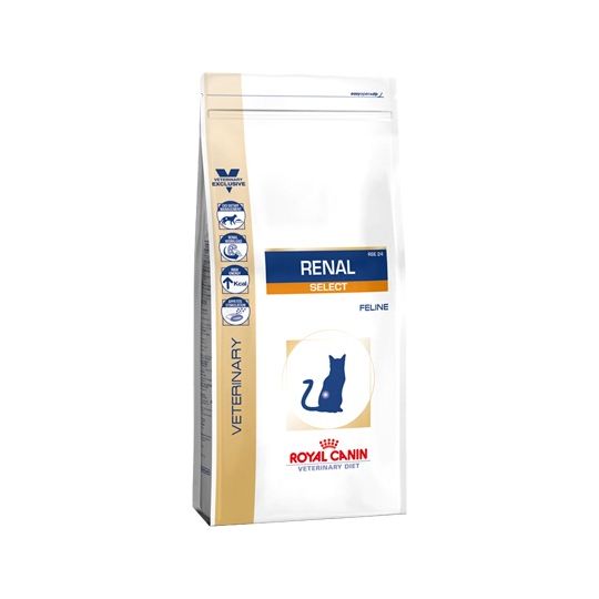 Feline renal 2024 food