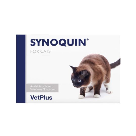 Feline joint on sale supplements