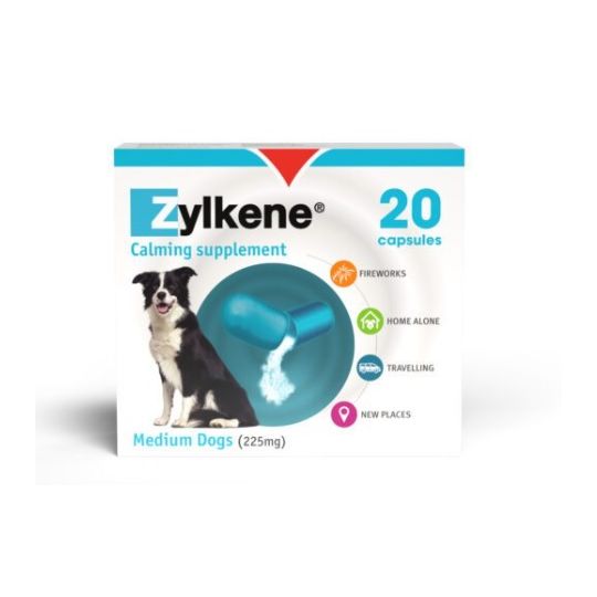 Dog zylkene store