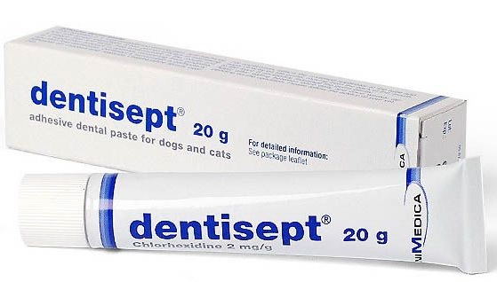 Dentisept toothpaste 2025 for dogs