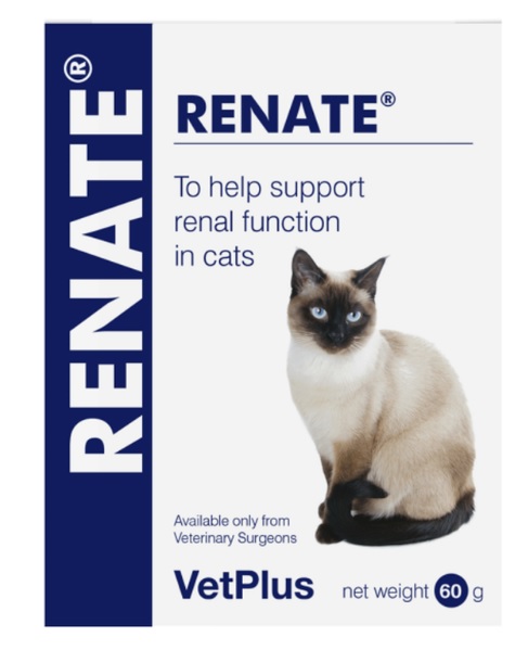 Renal support for cats shop