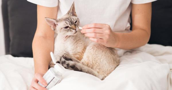 Cat Vitamin Supplements: Essential Vitamins & Minerals in Winter