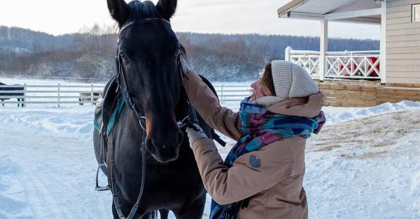A Guide to Worming Your Horses during the Winter