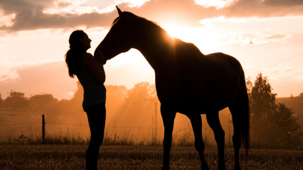 Horse Worming Medication From Vet Pharmacy: Ensuring Optimal Equine Health