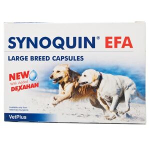 Synoquin_EFA_Large_Breed_Capsules