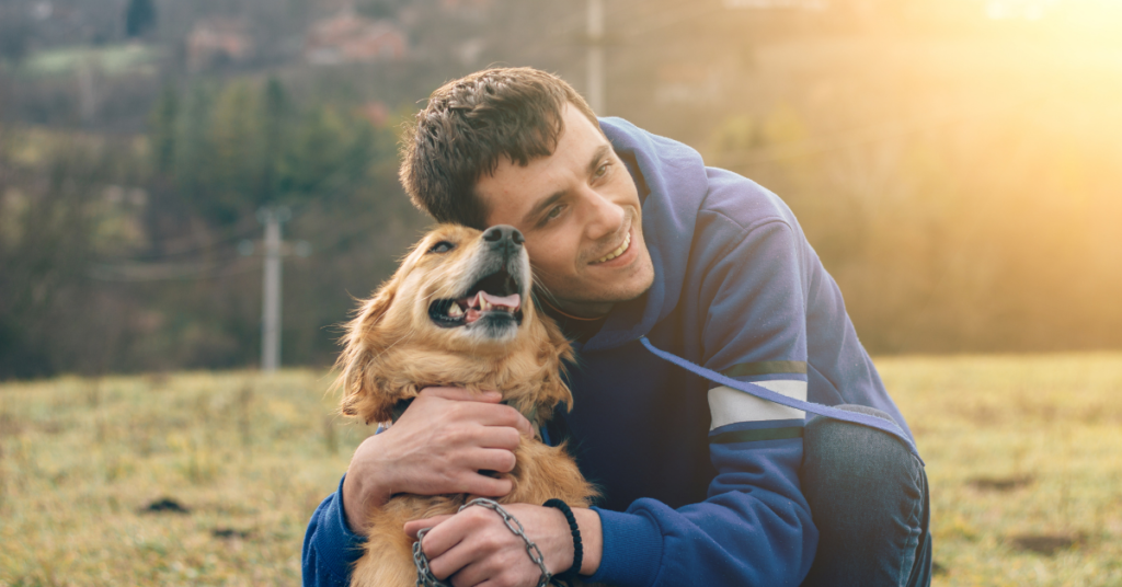 dog stress relief manchester birmingham liverpool