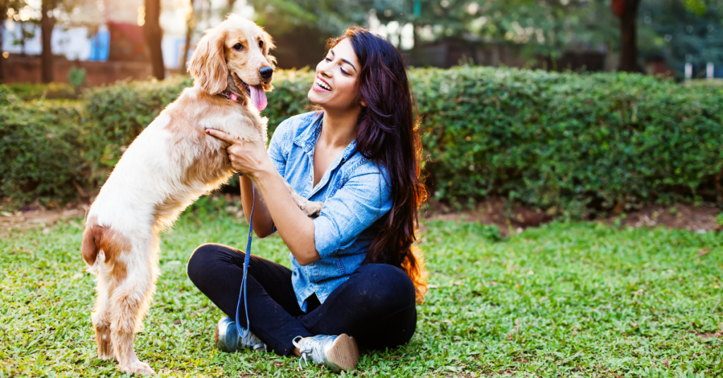 dog stress relief manchester birmingham liverpool