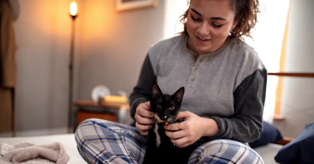 cuddling indoor cat