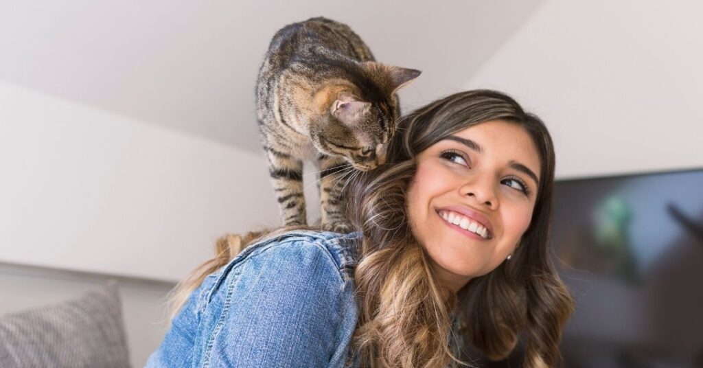 cat on owner's shoulders 