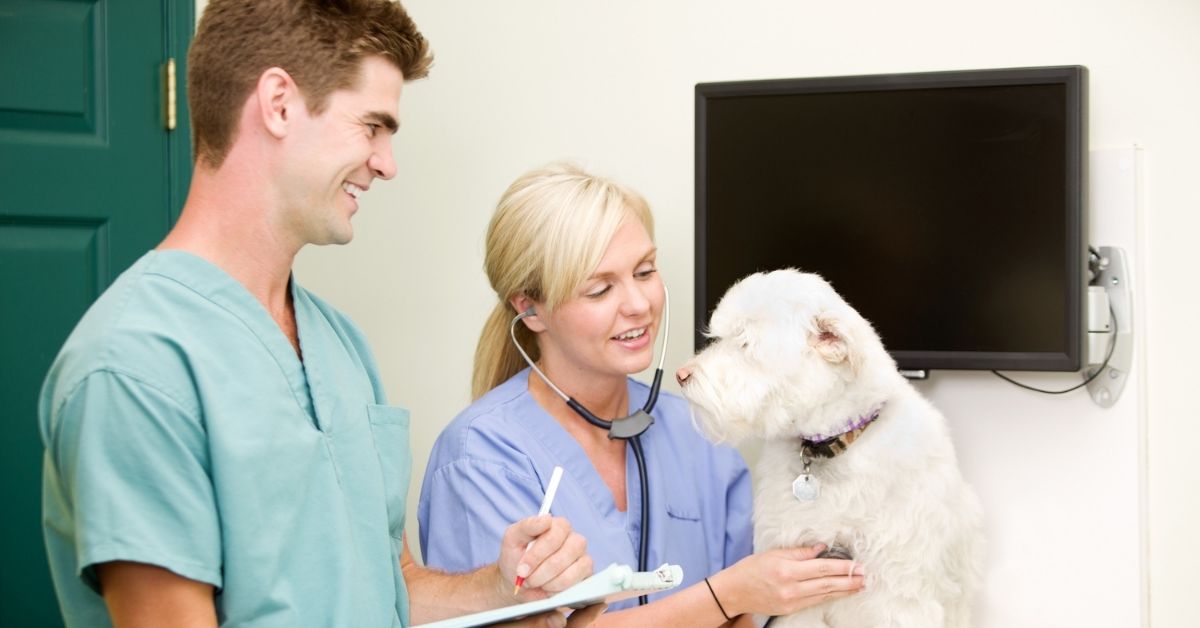 do i need a prescription for a wormer for dogs