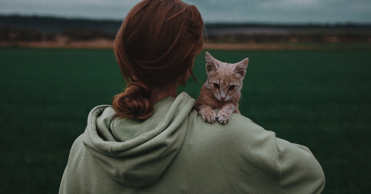 Holding a cat