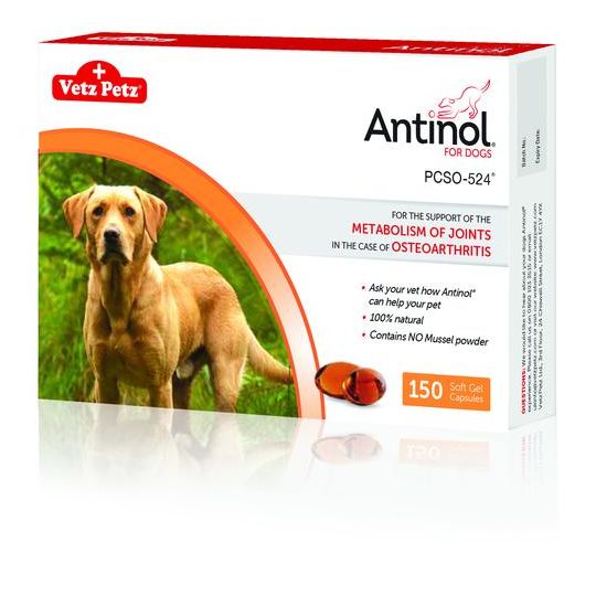 Medication for osteoarthritis dogs