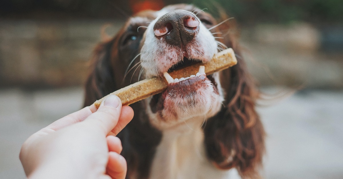 natural dog treats