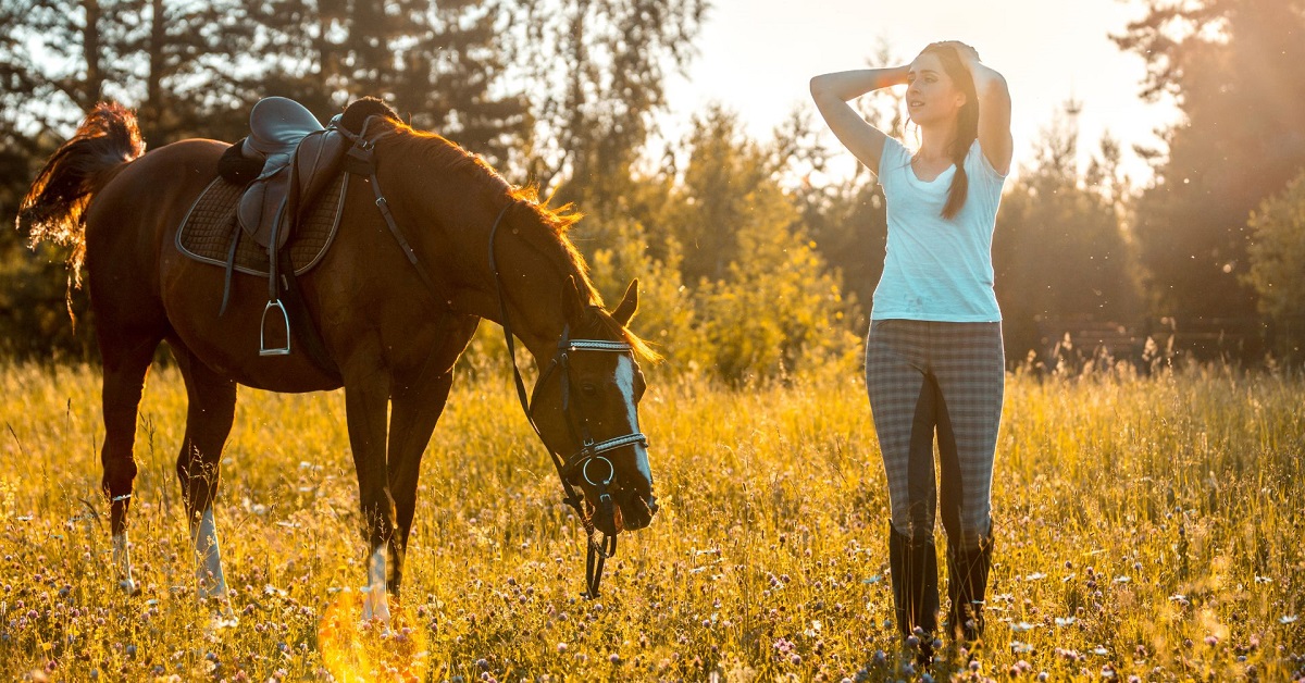 cortaflex for horses