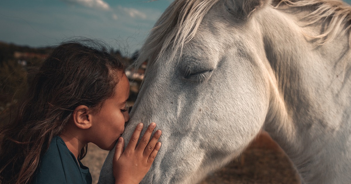 clean horse stable